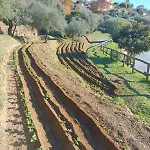 Cele Celle Ligure