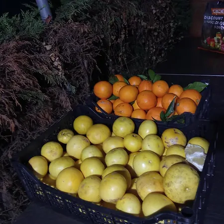 Cele Farma Celle Ligure