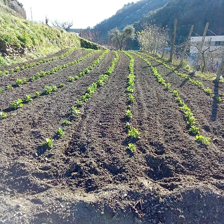 Agriturismo Cele Séjour à la ferme