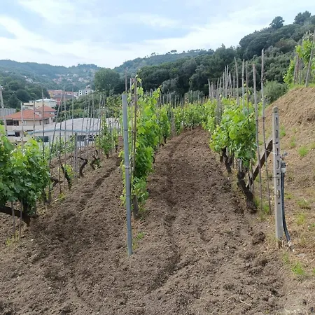 Séjour à la ferme Agriturismo Cele Celle Ligure