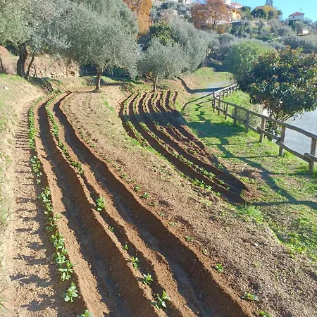 Agriturismo Cele Celle Ligure