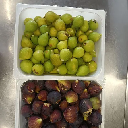 Cele Farma Celle Ligure