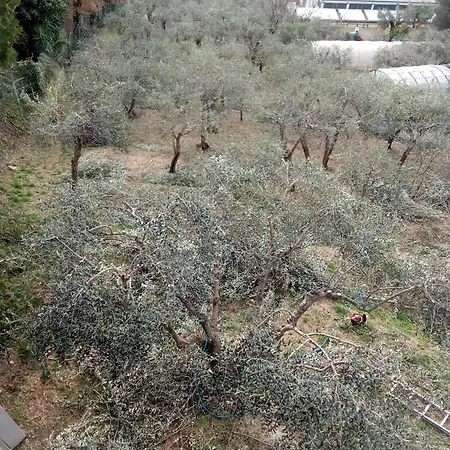 בית חווה Cele *