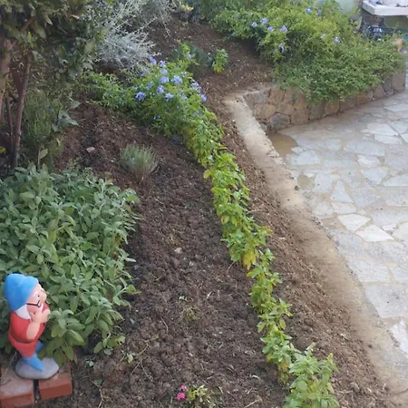 Cele בית חווה *