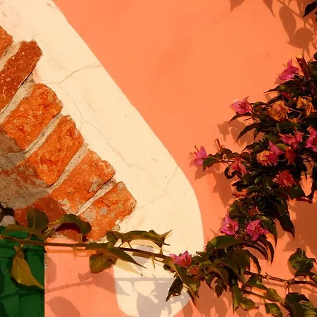 Cele בית חווה *